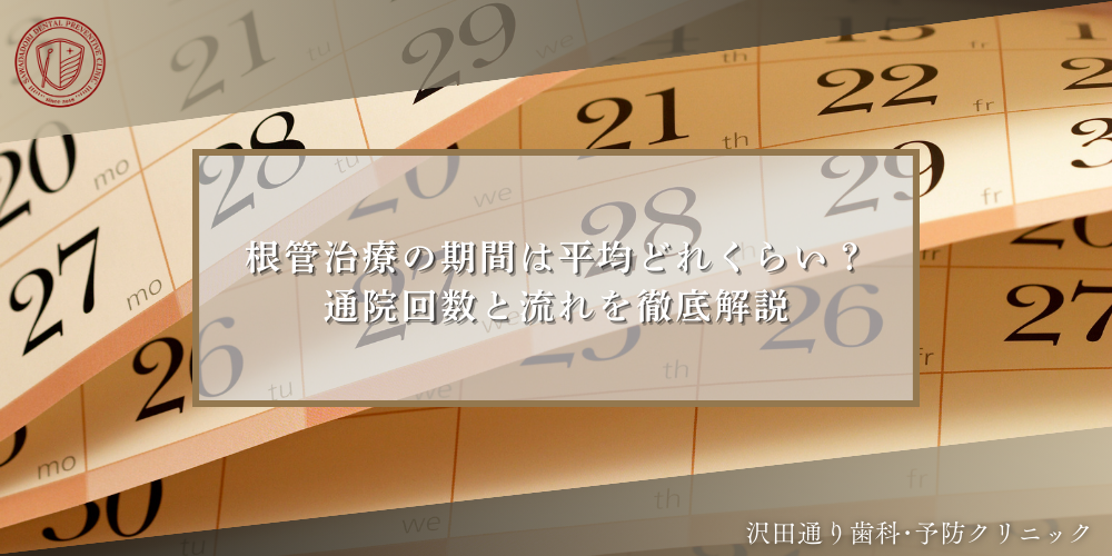 根管治療の期間は平均どれくらい？通院回数と流れを徹底解説